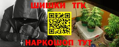 МДПВ Новодвинск