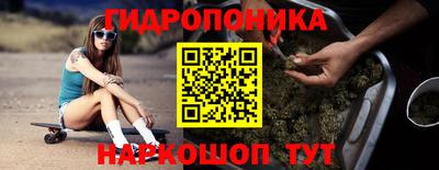 МДПВ Новодвинск