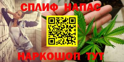 спиды Новокубанск