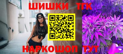 МДПВ Новодвинск
