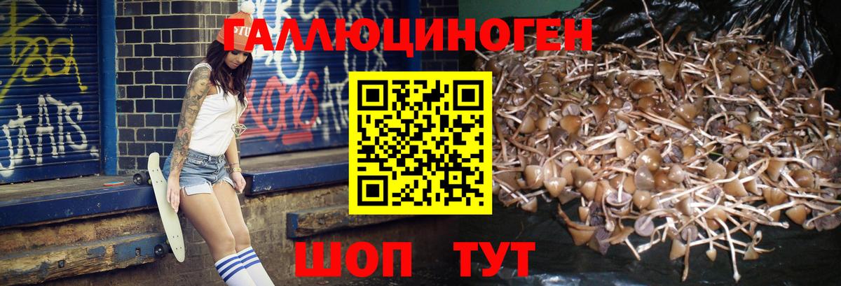 Печора  Псилоцибиновые грибы мухоморы  Псилоцибиновые грибы Psilocybe  Вход с VPN 